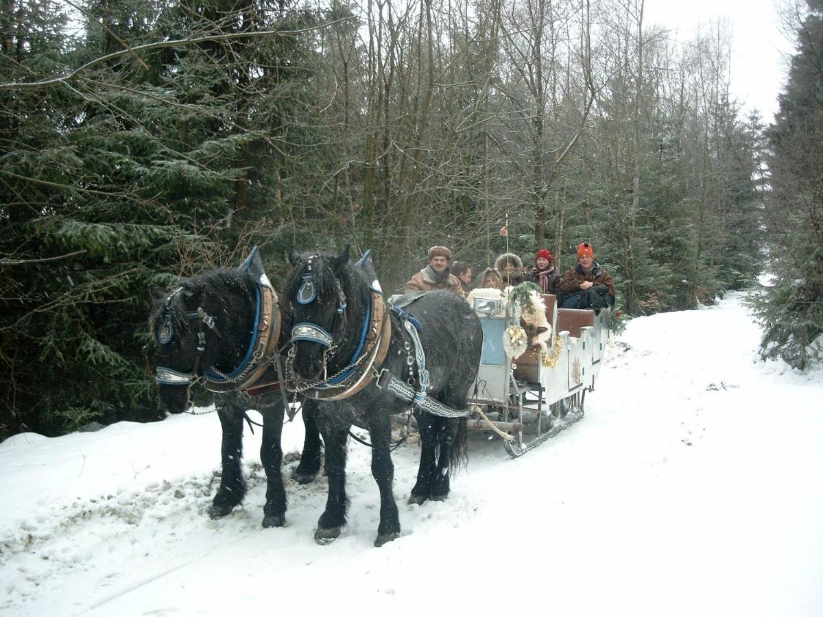 Bayern Ferienland Sonnenwald Appartement Schöfweg Buitenkant foto
